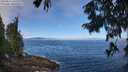 ./images/koeye/fitz-hugh/20250812/fitz-hugh20250812_103012M.jpg