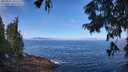 ./images/koeye/fitz-hugh/20250812/fitz-hugh20250812_103509M.jpg