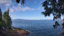 ./images/koeye/fitz-hugh/20250812/fitz-hugh20250812_104512M.jpg