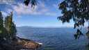 ./images/koeye/fitz-hugh/20250812/fitz-hugh20250812_105009M.jpg