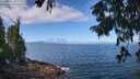 ./images/koeye/fitz-hugh/20250812/fitz-hugh20250812_105509M.jpg