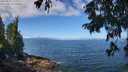 ./images/koeye/fitz-hugh/20250812/fitz-hugh20250812_110012M.jpg