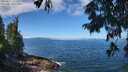 ./images/koeye/fitz-hugh/20250812/fitz-hugh20250812_110511M.jpg