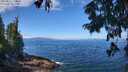./images/koeye/fitz-hugh/20250812/fitz-hugh20250812_111008M.jpg