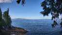 ./images/koeye/fitz-hugh/20250812/fitz-hugh20250812_111511M.jpg