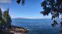 ./images/koeye/fitz-hugh/20250812/fitz-hugh20250812_112008M.jpg