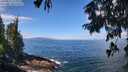 ./images/koeye/fitz-hugh/20250812/fitz-hugh20250812_113012M.jpg