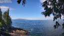 ./images/koeye/fitz-hugh/20250812/fitz-hugh20250812_113510M.jpg