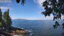./images/koeye/fitz-hugh/20250812/fitz-hugh20250812_114010M.jpg