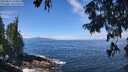 ./images/koeye/fitz-hugh/20250812/fitz-hugh20250812_114511M.jpg