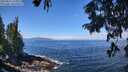 ./images/koeye/fitz-hugh/20250812/fitz-hugh20250812_115010M.jpg