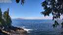 ./images/koeye/fitz-hugh/20250812/fitz-hugh20250812_115510M.jpg
