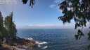 ./images/koeye/fitz-hugh/20250812/fitz-hugh20250812_120511M.jpg