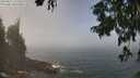 ./images/koeye/fitz-hugh/20250812/fitz-hugh20250812_122010M.jpg