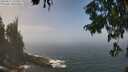 ./images/koeye/fitz-hugh/20250812/fitz-hugh20250812_122510M.jpg