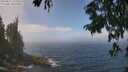 ./images/koeye/fitz-hugh/20250812/fitz-hugh20250812_123011M.jpg