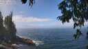 ./images/koeye/fitz-hugh/20250812/fitz-hugh20250812_123506M.jpg