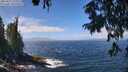 ./images/koeye/fitz-hugh/20250812/fitz-hugh20250812_124011M.jpg