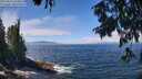 ./images/koeye/fitz-hugh/20250812/fitz-hugh20250812_124511M.jpg
