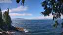 ./images/koeye/fitz-hugh/20250812/fitz-hugh20250812_125011M.jpg