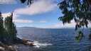 ./images/koeye/fitz-hugh/20250812/fitz-hugh20250812_125509M.jpg