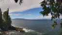 ./images/koeye/fitz-hugh/20250812/fitz-hugh20250812_130012M.jpg