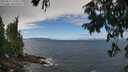./images/koeye/fitz-hugh/20250812/fitz-hugh20250812_131010M.jpg
