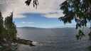 ./images/koeye/fitz-hugh/20250812/fitz-hugh20250812_132011M.jpg