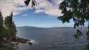 ./images/koeye/fitz-hugh/20250812/fitz-hugh20250812_133012M.jpg