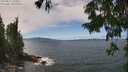 ./images/koeye/fitz-hugh/20250812/fitz-hugh20250812_133511M.jpg