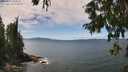 ./images/koeye/fitz-hugh/20250812/fitz-hugh20250812_134510M.jpg