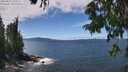 ./images/koeye/fitz-hugh/20250812/fitz-hugh20250812_135009M.jpg