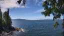 ./images/koeye/fitz-hugh/20250812/fitz-hugh20250812_135509M.jpg