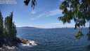 ./images/koeye/fitz-hugh/20250812/fitz-hugh20250812_140011M.jpg