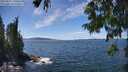./images/koeye/fitz-hugh/20250812/fitz-hugh20250812_140510M.jpg