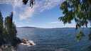 ./images/koeye/fitz-hugh/20250812/fitz-hugh20250812_141010M.jpg