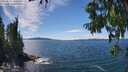 ./images/koeye/fitz-hugh/20250812/fitz-hugh20250812_141511M.jpg