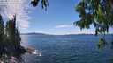 ./images/koeye/fitz-hugh/20250812/fitz-hugh20250812_142011M.jpg