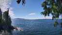 ./images/koeye/fitz-hugh/20250812/fitz-hugh20250812_142509M.jpg