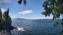 ./images/koeye/fitz-hugh/20250812/fitz-hugh20250812_143509M.jpg