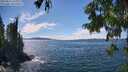 ./images/koeye/fitz-hugh/20250812/fitz-hugh20250812_145011M.jpg