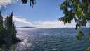 ./images/koeye/fitz-hugh/20250812/fitz-hugh20250812_151510M.jpg
