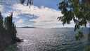 ./images/koeye/fitz-hugh/20250812/fitz-hugh20250812_154011M.jpg