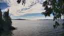 ./images/koeye/fitz-hugh/20250812/fitz-hugh20250812_155510M.jpg