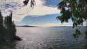 ./images/koeye/fitz-hugh/20250812/fitz-hugh20250812_160012M.jpg