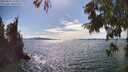 ./images/koeye/fitz-hugh/20250812/fitz-hugh20250812_162011M.jpg