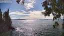 ./images/koeye/fitz-hugh/20250812/fitz-hugh20250812_163011M.jpg
