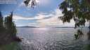 ./images/koeye/fitz-hugh/20250812/fitz-hugh20250812_163509M.jpg