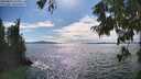 ./images/koeye/fitz-hugh/20250812/fitz-hugh20250812_164011M.jpg