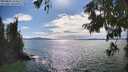 ./images/koeye/fitz-hugh/20250812/fitz-hugh20250812_164510M.jpg